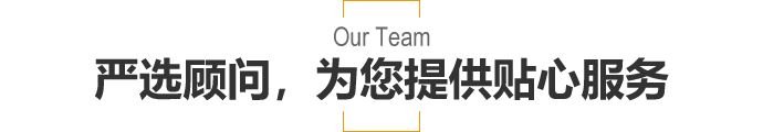 严选顾问，为您提供贴心服务