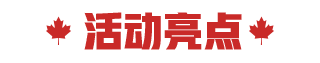 活动亮点