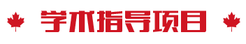 学术指导项目