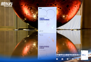2026中国学生出国留学发展报告