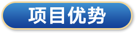 项目优势