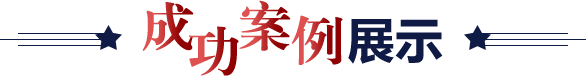 成功案例展示