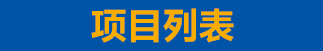 项目列表