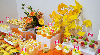 北美本科留学离境会