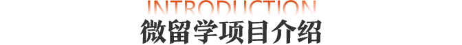 微留学项目介绍