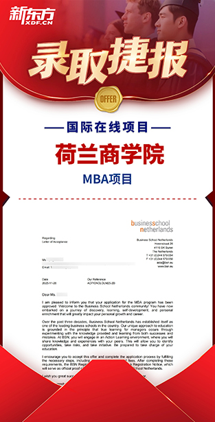 荷兰商学院 MBA项目