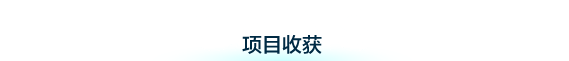 项目收获