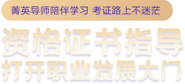 就业力资格证书指导