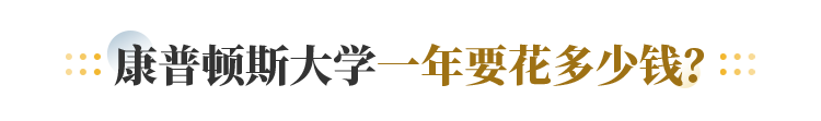 康普顿斯大学一年要花多少钱？