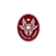 罗马大学