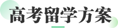 高考留学方案