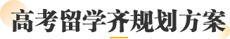 高考留学规划方案