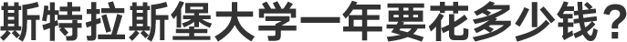 斯特拉斯堡大学一年要花多少钱？