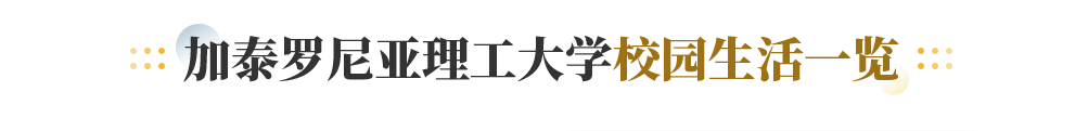 加泰罗尼亚理工大学校园生活一览