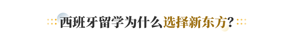 西班牙留学为什么选择新东方？