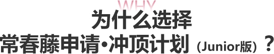 为什么选择新东方常春藤申请冲顶计划？