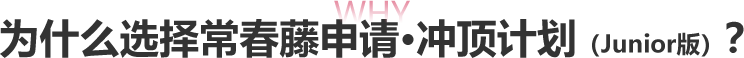 为什么选择新东方常春藤申请冲顶计划？