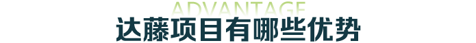 达藤项目有哪些优势