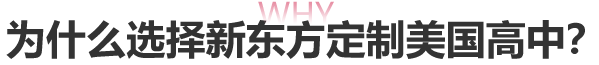 为什么选择新东方定制美国高中？