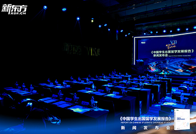 2026中国学生出国留学发展报告