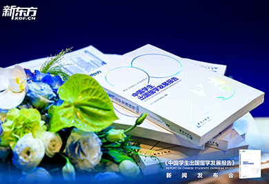 2026中国学生出国留学发展报告