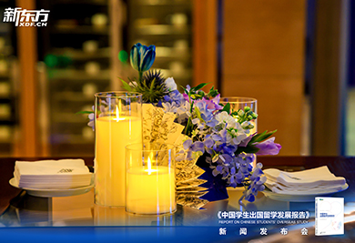 2026中国学生出国留学发展报告