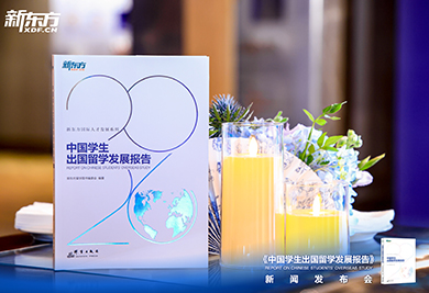 2026中国学生出国留学发展报告