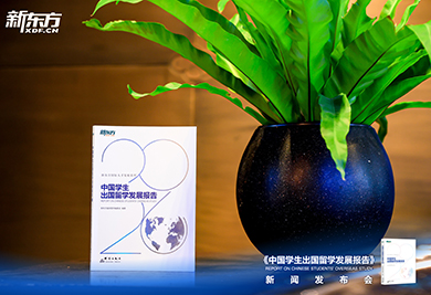 2026中国学生出国留学发展报告