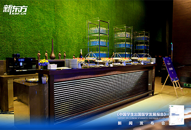 2026中国学生出国留学发展报告