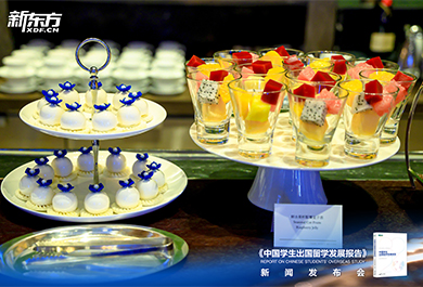 2026中国学生出国留学发展报告