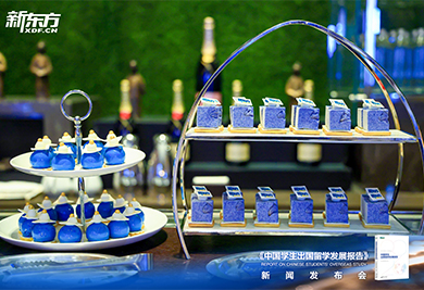 2026中国学生出国留学发展报告