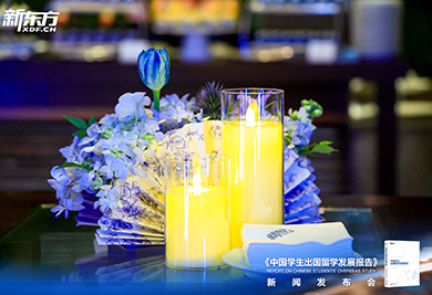 2026中国学生出国留学发展报告