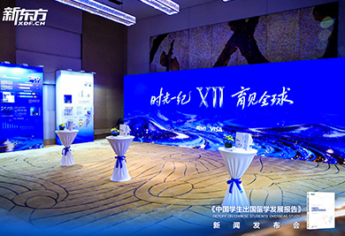 2026中国学生出国留学发展报告