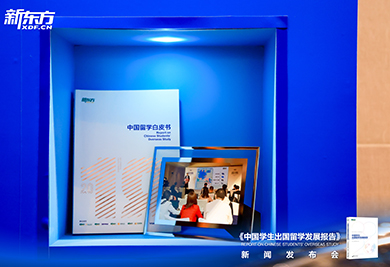 2026中国学生出国留学发展报告