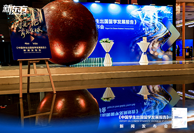 2026中国学生出国留学发展报告