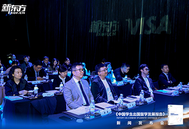 2026中国学生出国留学发展报告