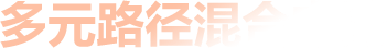 多元路径混合申请