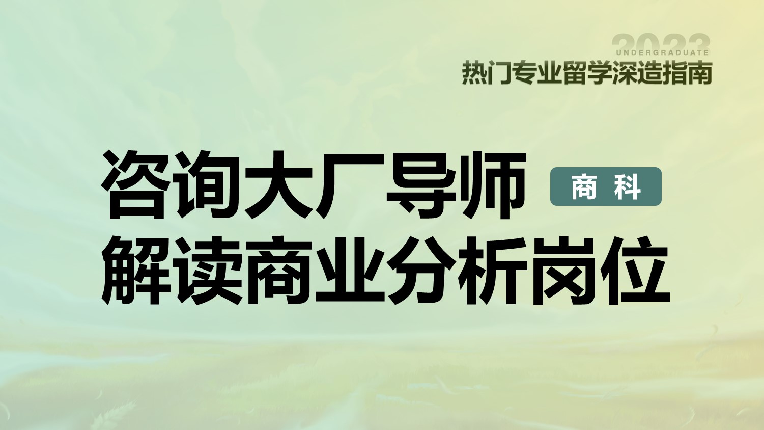咨询大厂导师解读商业分析岗位