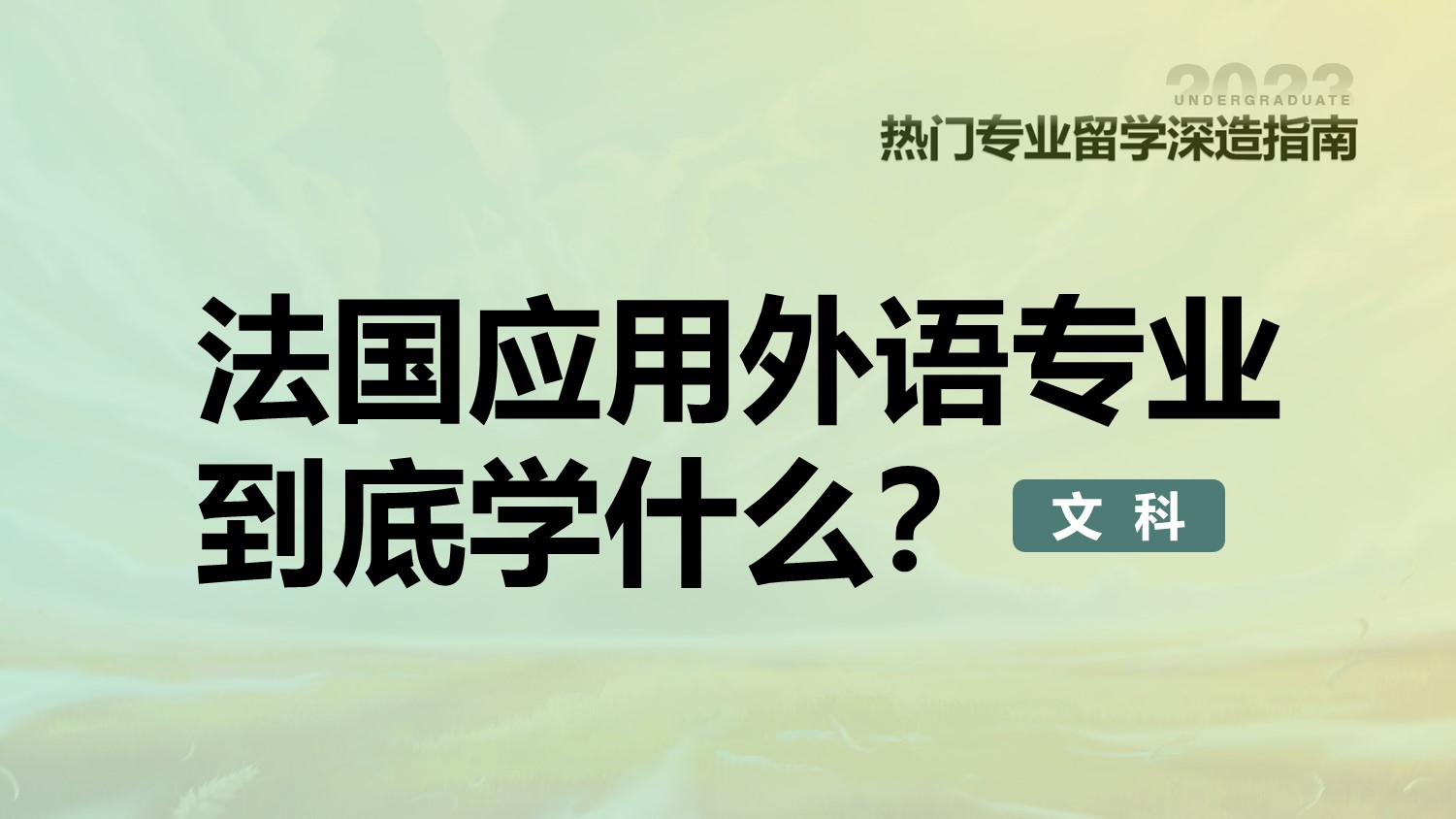 法国应用外语专业到底学什么？