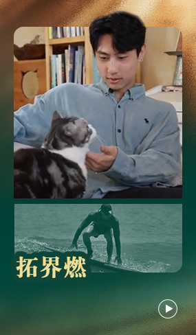 国内985与悉尼大学的双重修炼