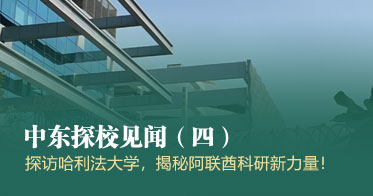 中东系列第四期