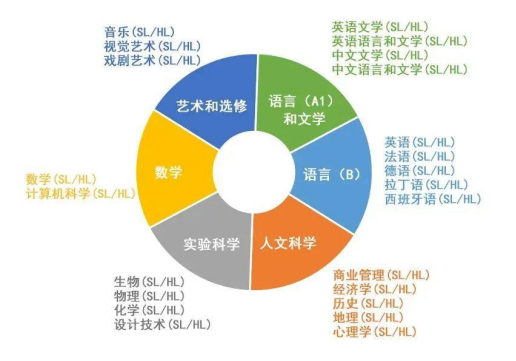 【美国】留学高中课程选AP还是选IB？