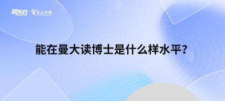 能在曼大读博士是什么样水平？