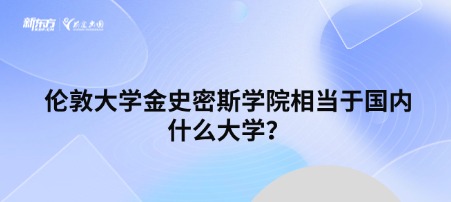 伦敦大学金史密斯学院相当于国内什么大学？