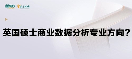 英国硕士商业数据分析专业方向？