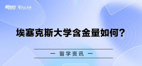 埃塞克斯大学含金量如何？