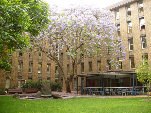 高考后到海外去游学 高考生的假日狂欢