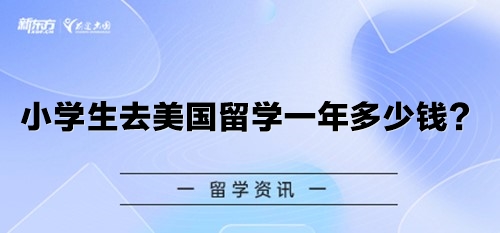 小学生去美国留学一年多少钱？