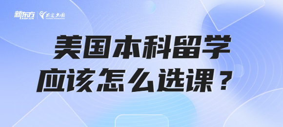 美国本科留学应该怎么选课？