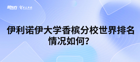 伊利诺伊大学香槟分校世界排名情况如何？